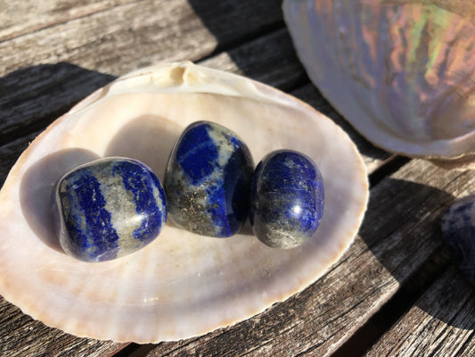 Lapis-Lazuli 'AB'