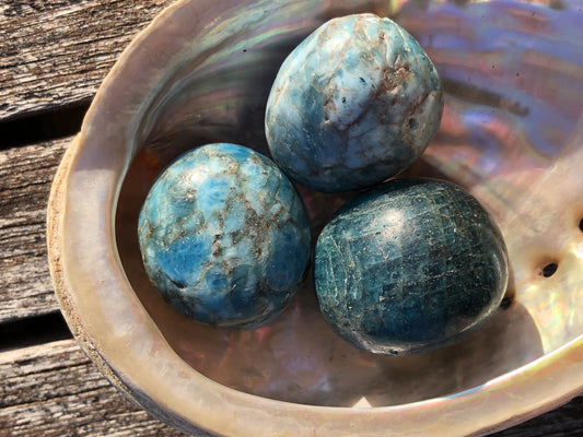 Apatite bleue 'A'