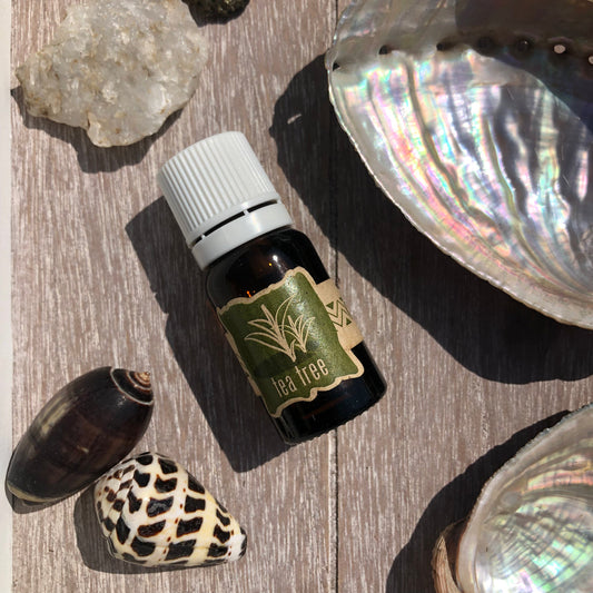 Huile essentielle de Tea tree