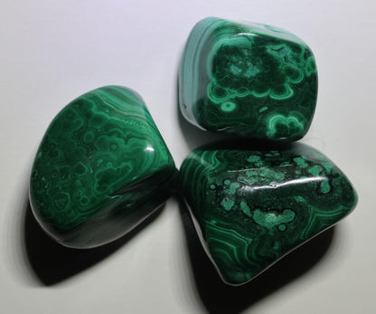 Malachite 'AAA' - LuvEarth